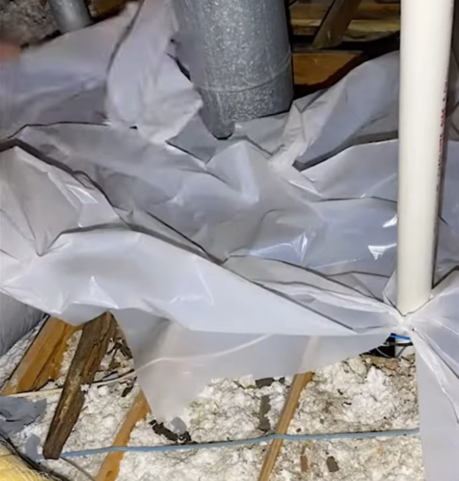 Attic mold cleaning Gainesville home