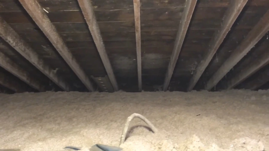 Attic mold before removal in Gainesville