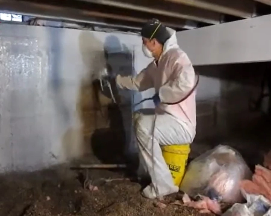 Mold sealer application Gainesville
