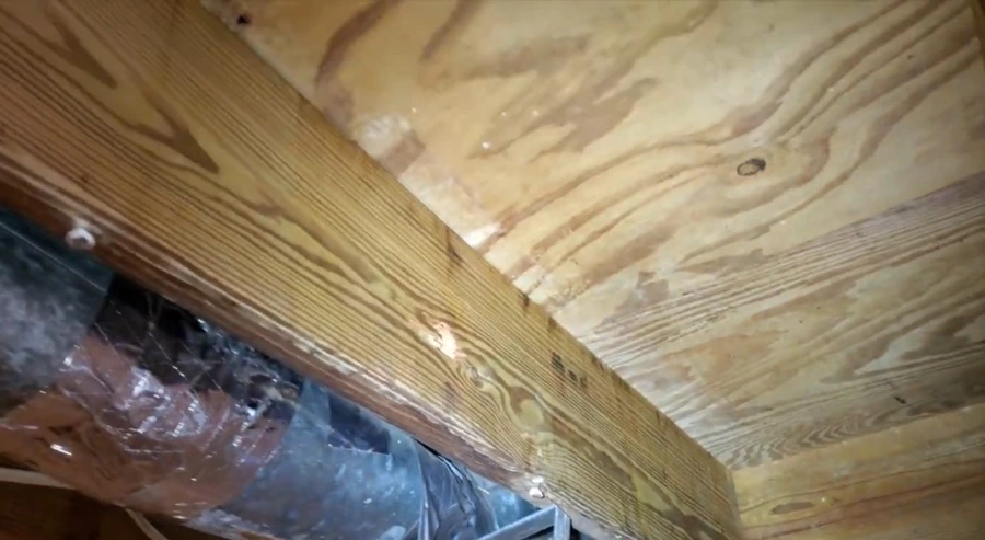 Gainesville crawl space after remediation