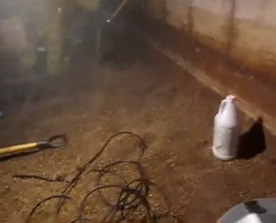 Gainesville crawl space mold before
