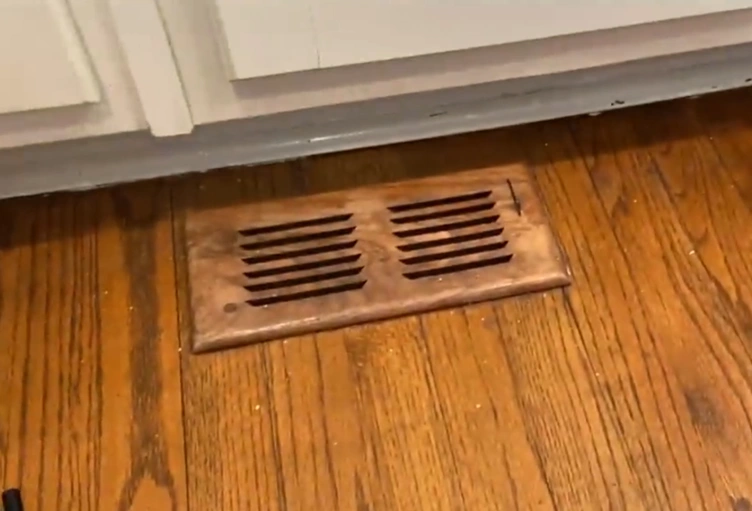 Air duct mold inspection Gainesville
