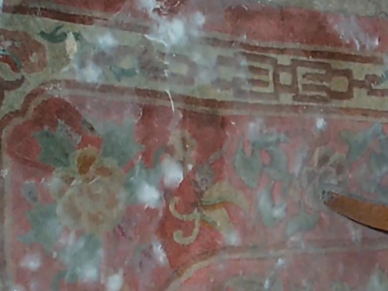Aspergillus mold at home Gainesville
