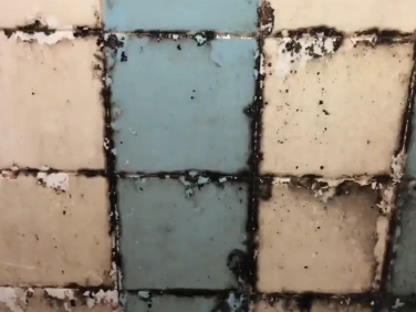 Bathroom mold before removal, view one