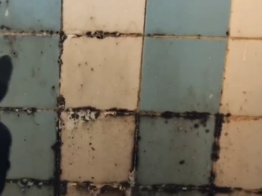 Bathroom mold before removal, view two
