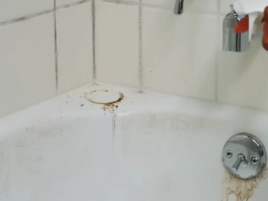 Bathroom mold removal in Gainesville FL