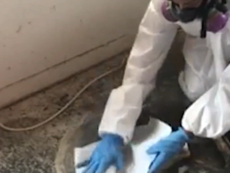 Biohazard cleanup Gainesville Florida