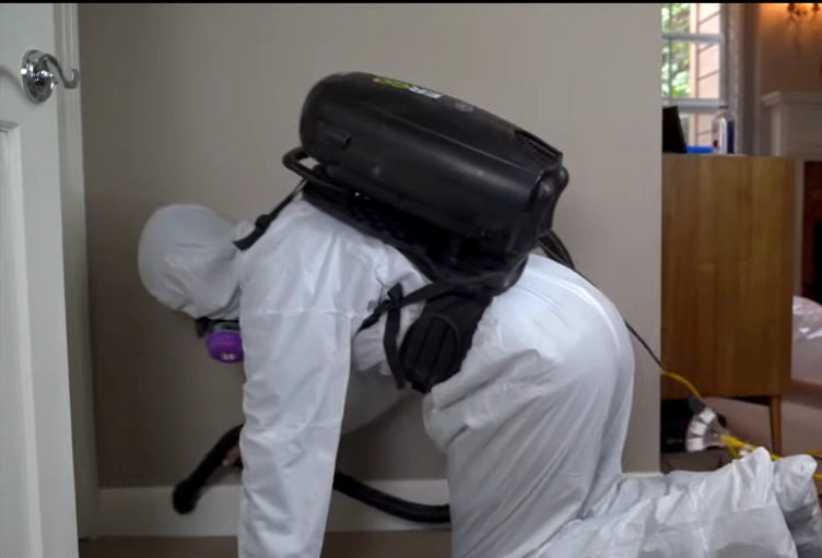 Duct mold cleanup Gainesville