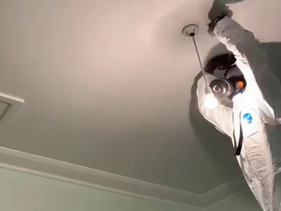 Clean painted ceiling with crown molding and an access panel at the edge