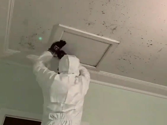 Technician in a white suit opening a ceiling access panel in a room with crown molding and dark spotting across the ceiling
