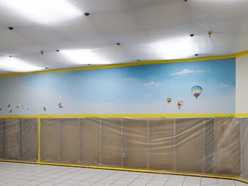 Mold remediation commercial property Gainesville