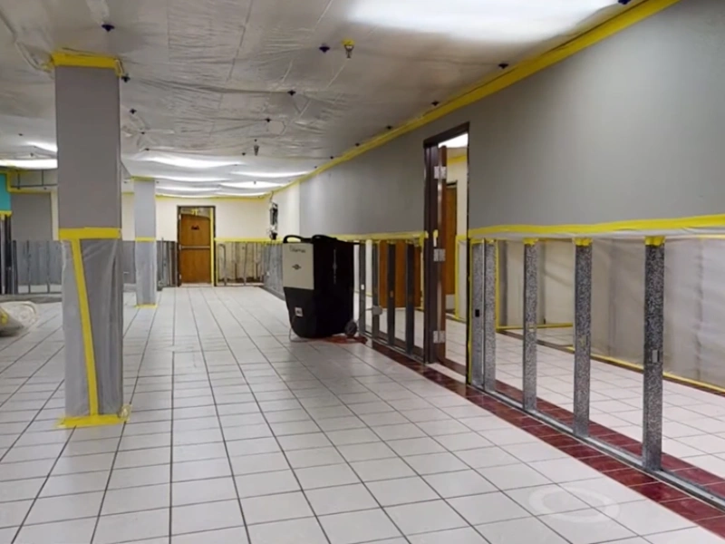 Commercial property mold Gainesville