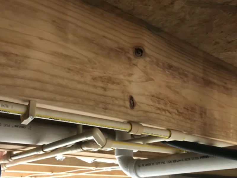 Mold removal after Gainesville