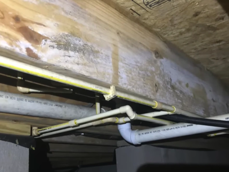 Mold removal before Gainesville