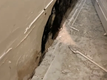 Mold inspection behind baseboard