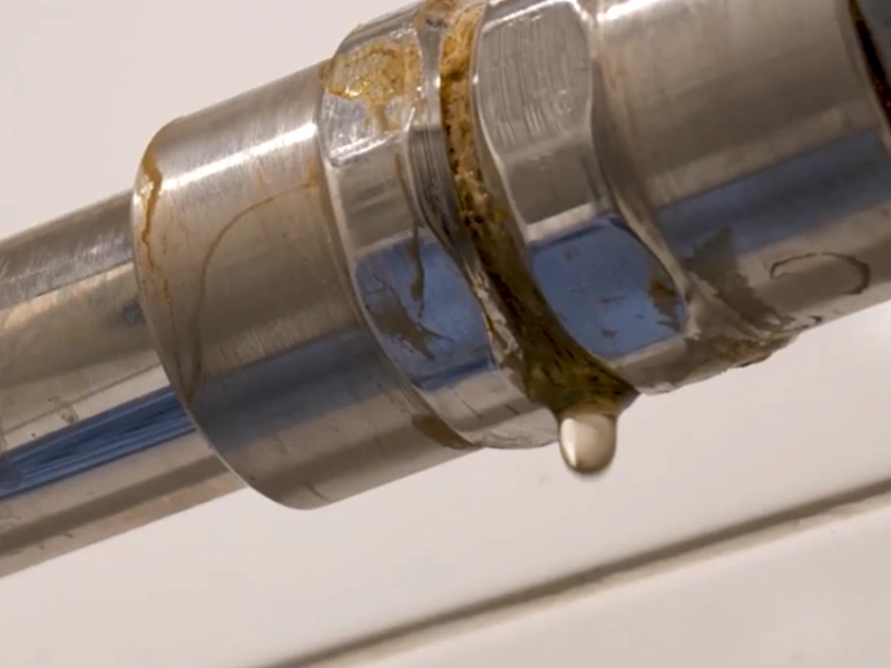 Plumbing leak mold Gainesville home