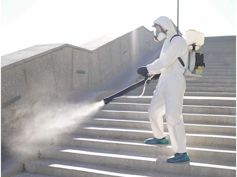 Mold remediation Gainesville FL home