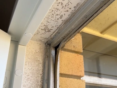 Dark speckled growth along the top corner of a window frame
