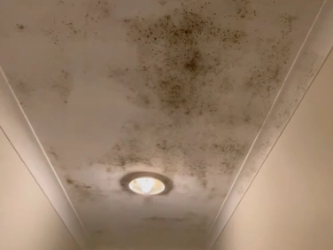 Hallway ceiling with scattered dark spotting around a light fixture