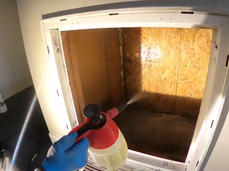 Cleaning solution applied through an access hatch into a crawl space cavity