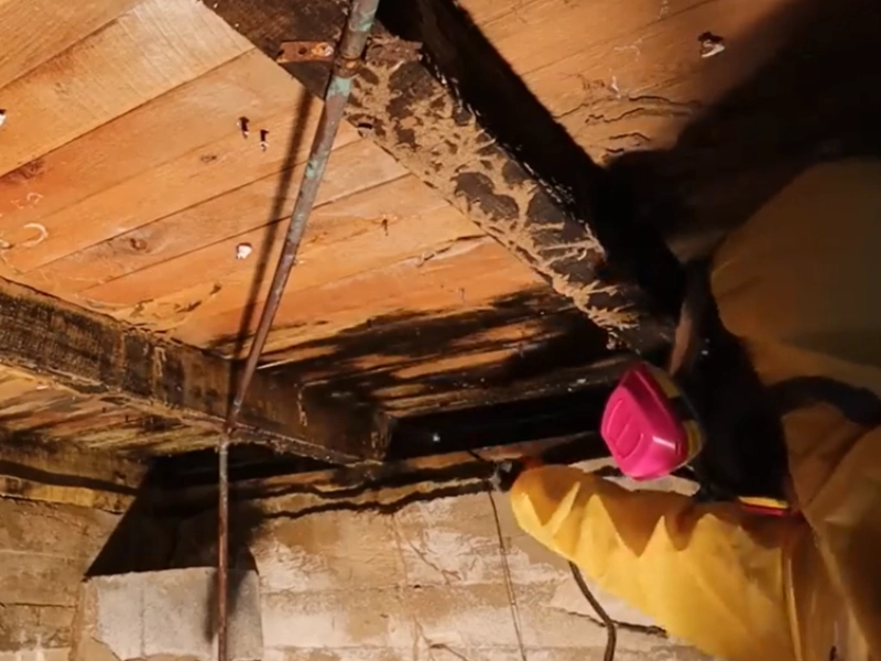Technician in a respirator inspecting wood joists and subfloor in an older crawl space