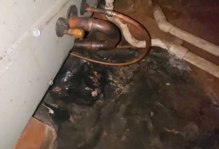 HVAC mold removal Gainesville