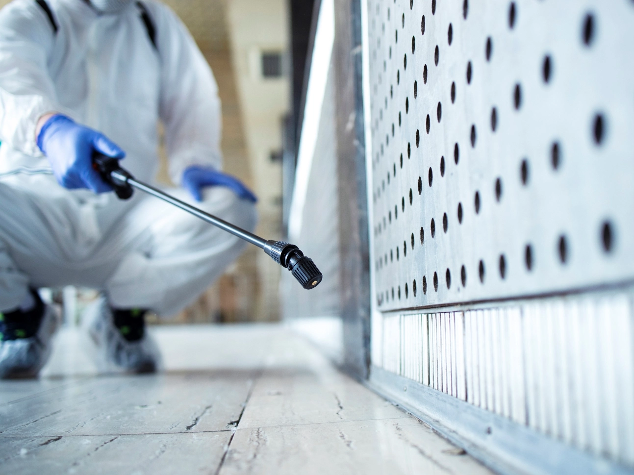 Mold remediation work being planned in a Gainesville home