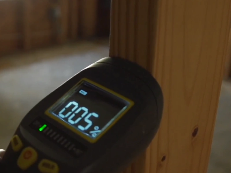 Moisture reading mold remediation Gainesville