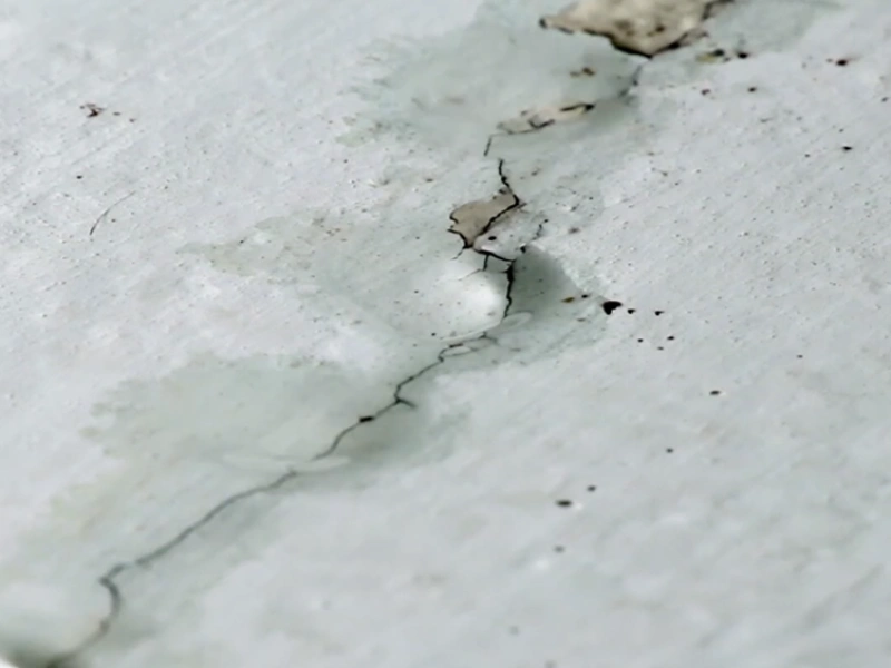 Identify water source Gainesville mold