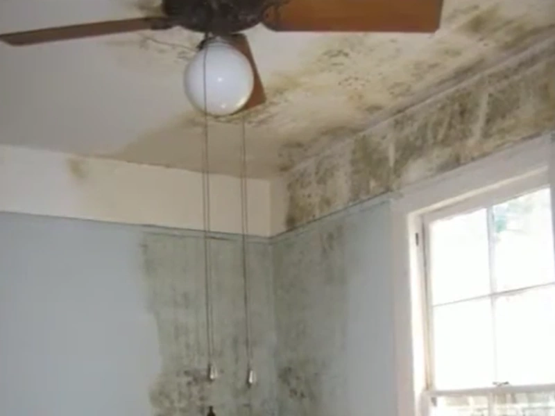Water damage restoration Gainesville home