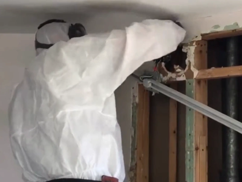 Moldy drywall removal Gainesville home