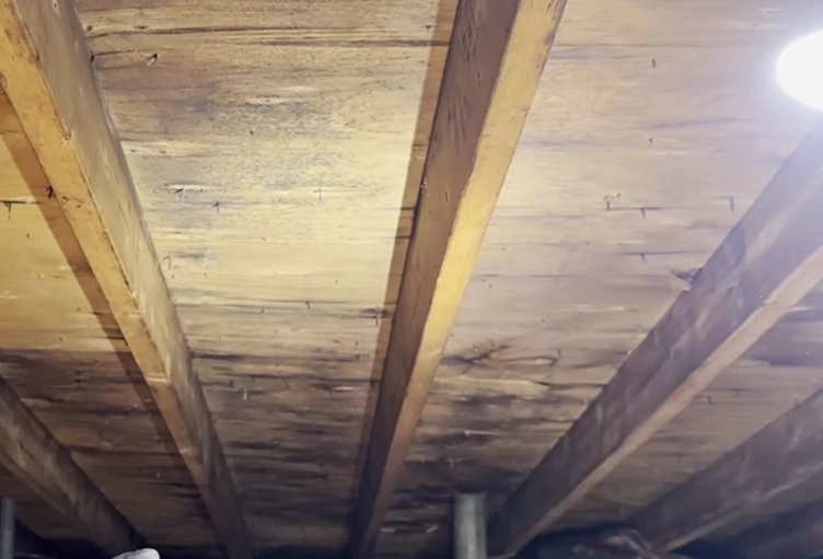 Attic mold inspection Gainesville