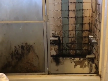 Bathroom mold removal Gainesville