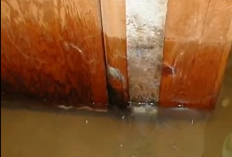 Black mold growing after trapped water was left in a building material