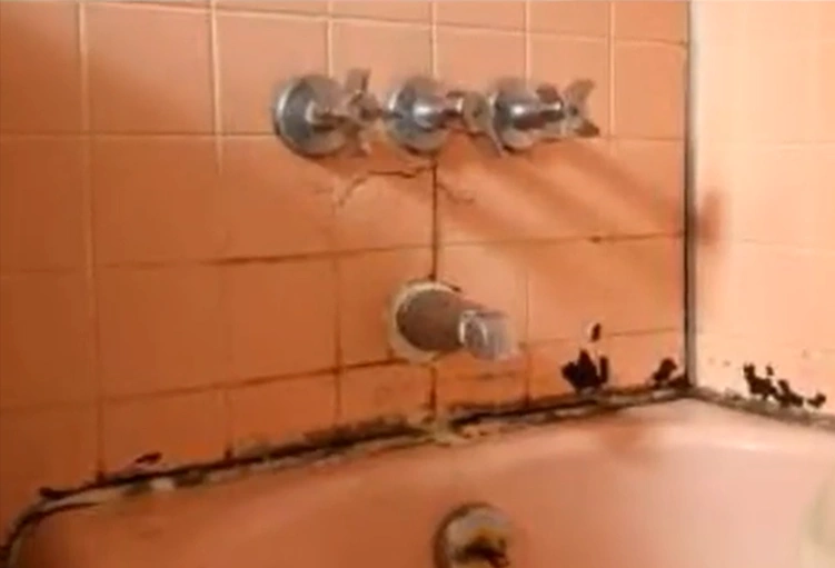 Black mold growing around a sink and cabinet where a slow leak kept the surface wet