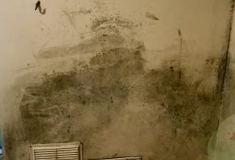Black mold on an interior wall caused by high indoor humidity in a Florida home