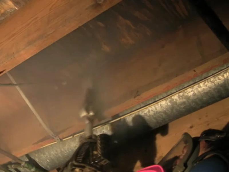 Dry ice mold removal Gainesville