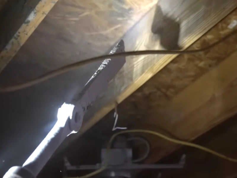 Mold cleaning results Gainesville FL
