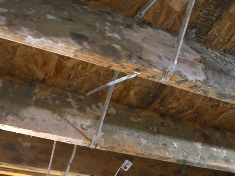 Mold before blasting Gainesville home