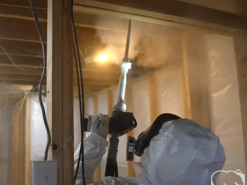 Dry ice blasting mold Gainesville