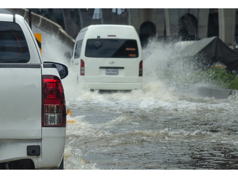 Mold after flooding Gainesville