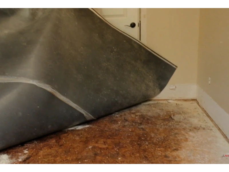 Water damage under carpet Gainesville