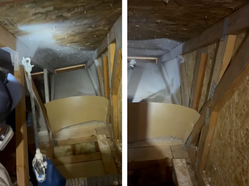 Encapsulation of mold Gainesville