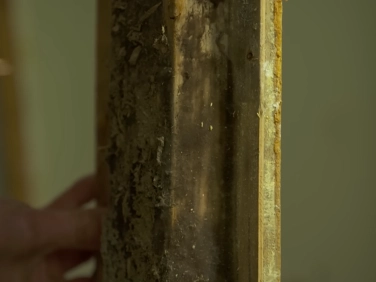 Historic home mold removal Gainesville
