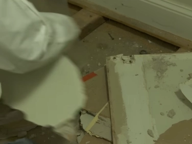 Historic home mold inspection Gainesville
