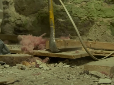 Historic home mold removal steps