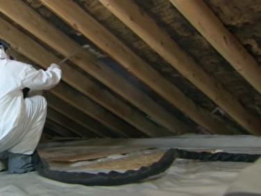 Historic home mold removal Gainesville, view one