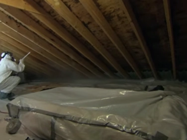 Historic home mold removal Gainesville, view two