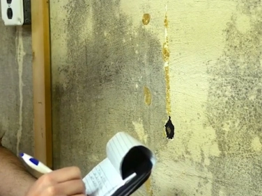 Mold testing notes and findings