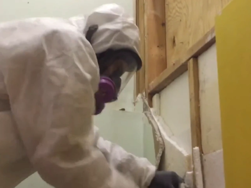 Water damage mold Gainesville FL